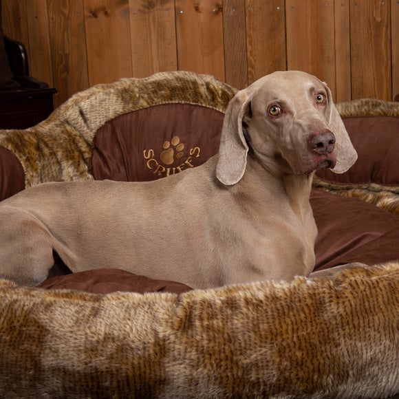 Scruffs Grizzly Bear Dog Bed, product image 2