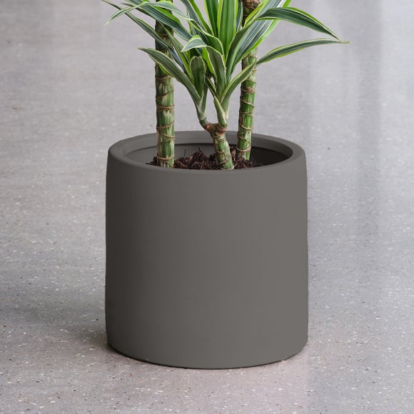 Dracaena Lemon & Lime House Plant in Earthenware Pot, product image 6