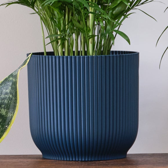Unkillable Potted House Plant Bundle