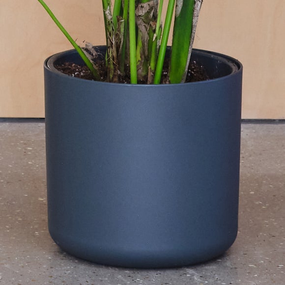 Tall Potted House Plant Bundle