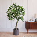 Artificial Money Tree