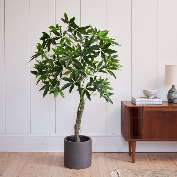 Artificial Money Tree