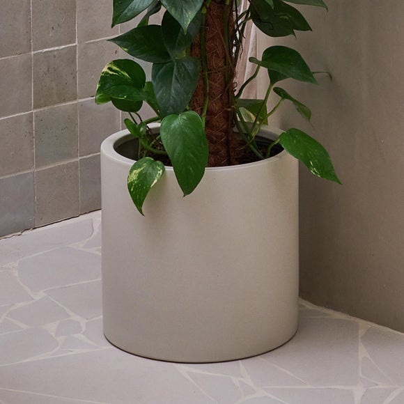 Devil's Ivy Moss Pole House Plant in Earthenware Pot, product image 7