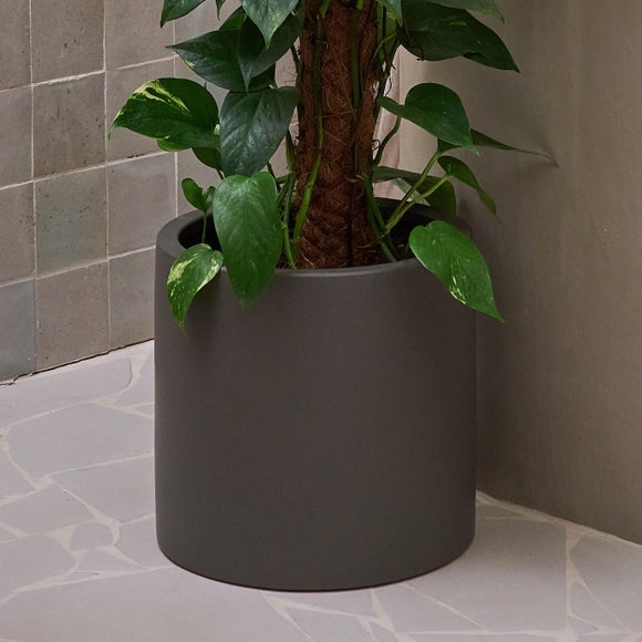 Devil's Ivy Moss Pole House Plant in Earthenware Pot, product image 3