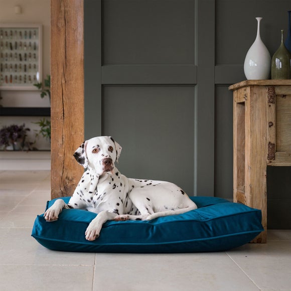Lords and Labradors Velvet Dog Cushion, product image 80