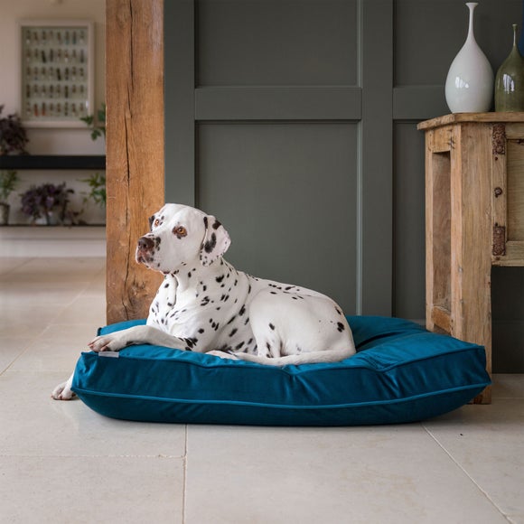 Lords and Labradors Velvet Dog Cushion, product image 81