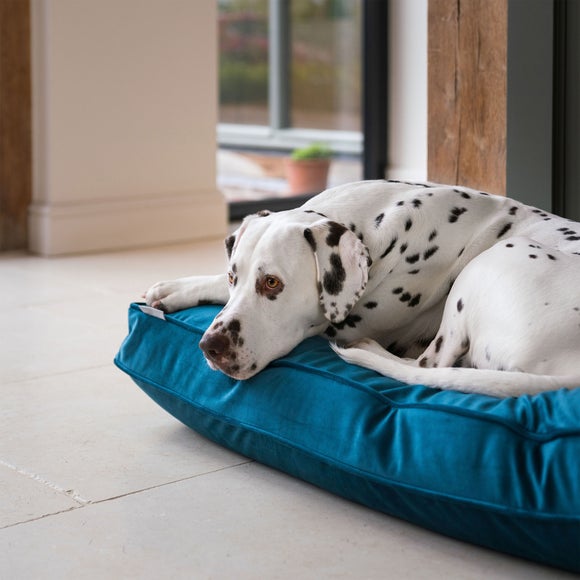 Lords and Labradors Velvet Dog Cushion, product image 38