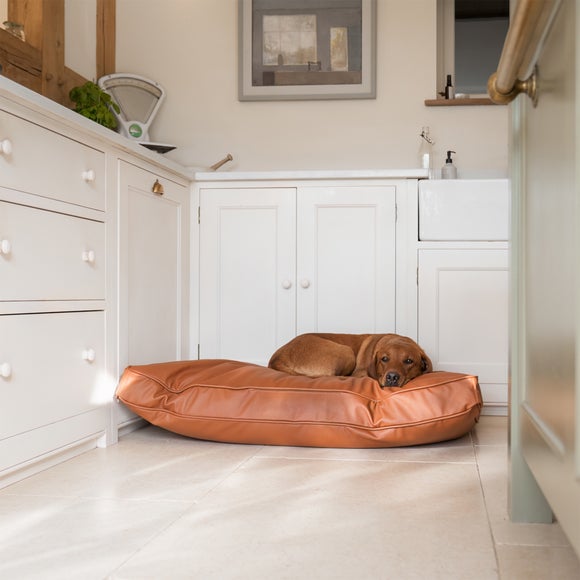 Lords and Labradors Rhino Leather Dog Cushion, product image 34