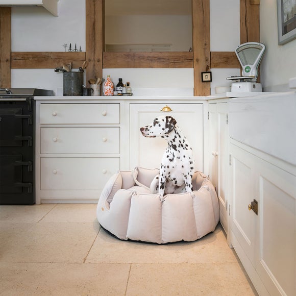 Lords and Labradors Velvet High Wall Dog Bed, product image 26