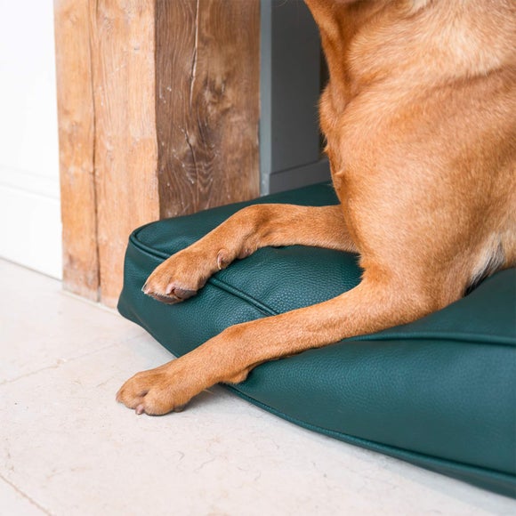 Lords and Labradors Rhino Leather Dog Cushion, product image 15