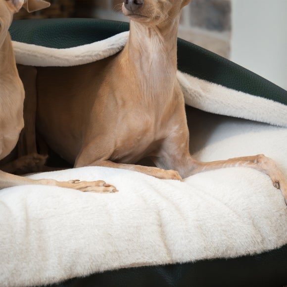 Lords and Labradors Rhino Leather Sleepy Burrow Dog Bed, product image 9