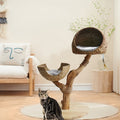 Lords and Labradors Duo Cat Scratch Post