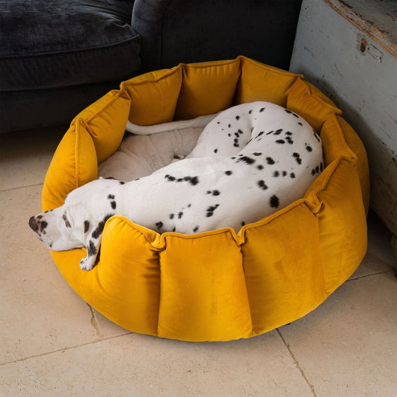 Lords and Labradors Velvet High Wall Dog Bed, product image 54