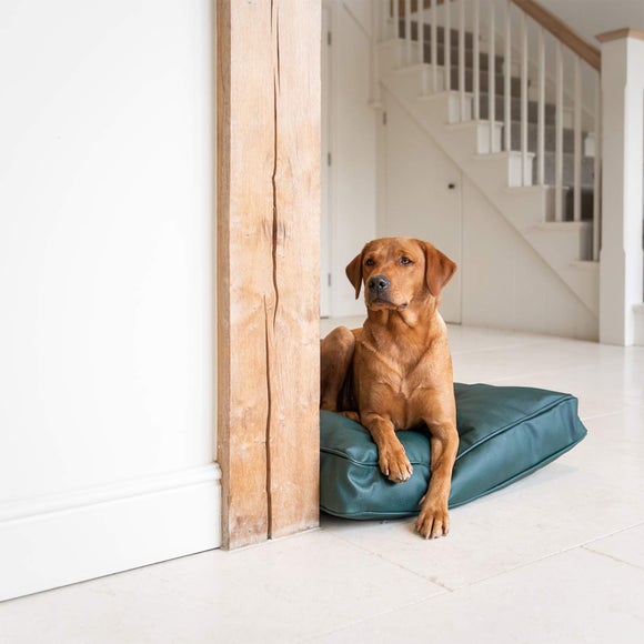 Lords and Labradors Rhino Leather Dog Cushion, product image 29