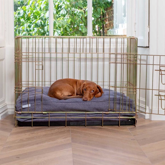 Lords and Labradors Herringbone Dog Cushion, product image 31