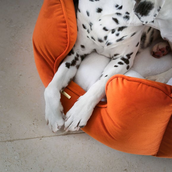 Lords and Labradors Velvet High Wall Dog Bed, product image 21