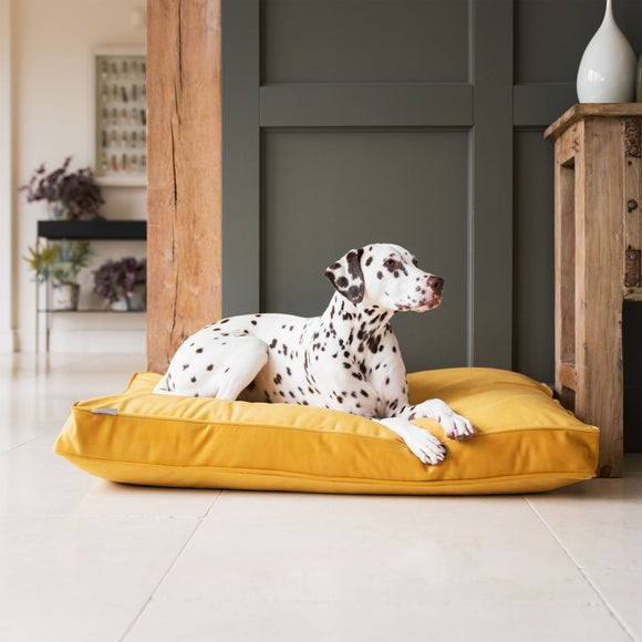 Lords and Labradors Velvet Dog Cushion, product image 64
