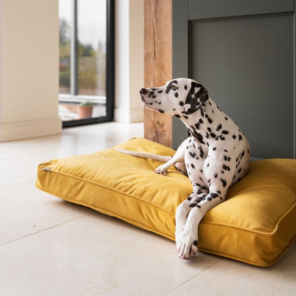 Lords and Labradors Velvet Dog Cushion, product image 65