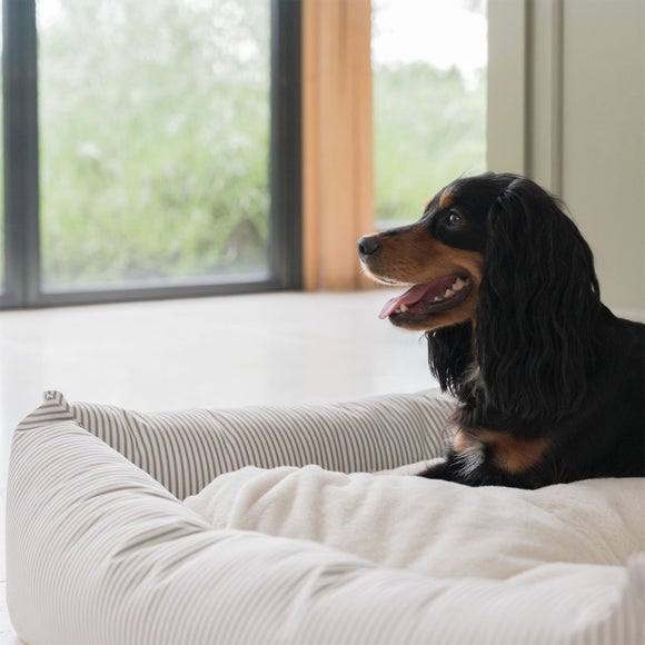 Lords and Labradors Striped Box Dog Bed, product image 9