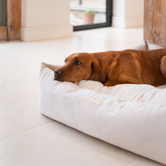 Lords and Labradors Velvet Box Dog Bed, product image 32