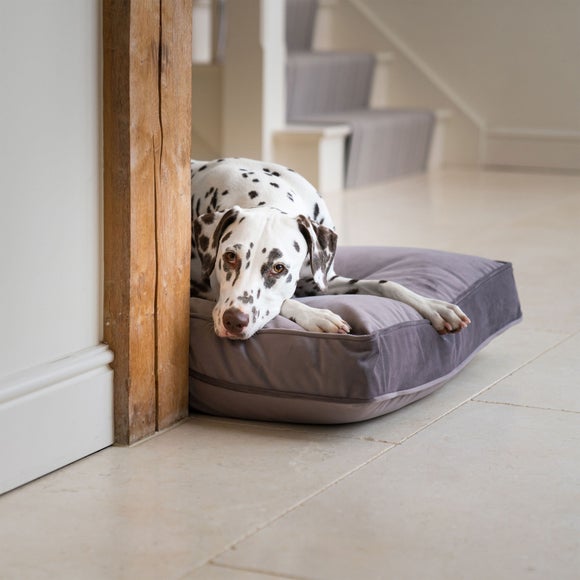 Lords and Labradors Velvet Dog Cushion, product image 56