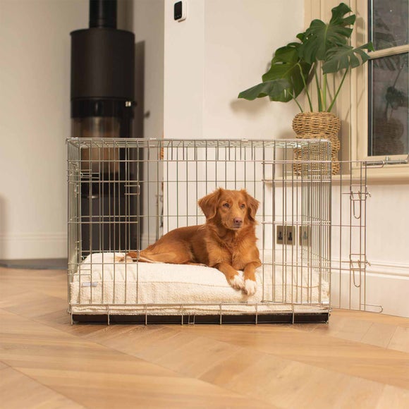 Lords and Labradors Boucle Dog Cushion, product image 11