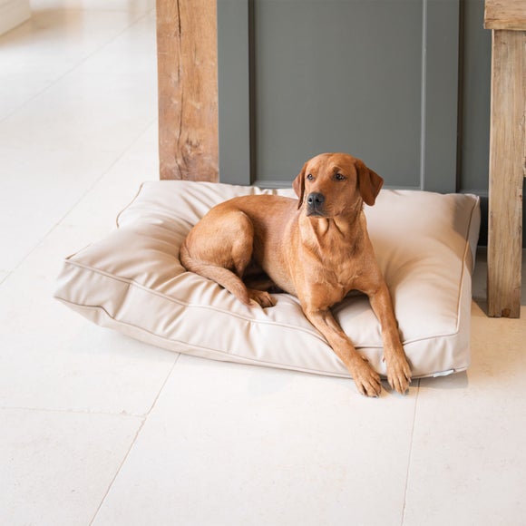 Lords and Labradors Rhino Leather Dog Cushion, product image 1