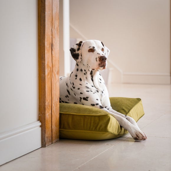 Lords and Labradors Velvet Dog Cushion, product image 59