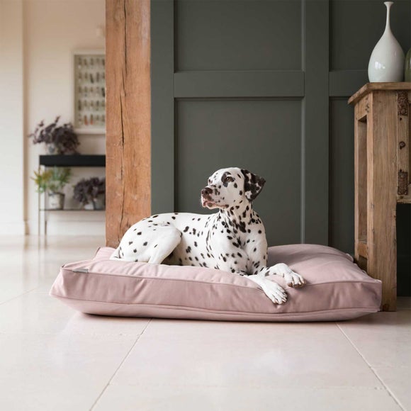 Lords and Labradors Velvet Dog Cushion, product image 52