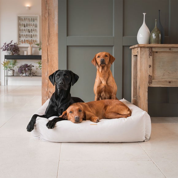 Lords and Labradors Velvet Box Dog Bed, product image 40