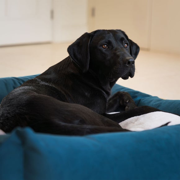 Lords and Labradors Velvet Box Dog Bed, product image 51