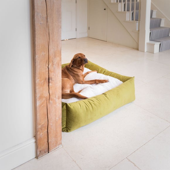 Lords and Labradors Velvet Box Dog Bed, product image 65