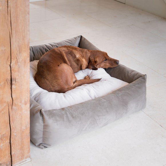 Lords and Labradors Velvet Box Dog Bed, product image 1