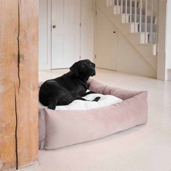 Lords and Labradors Velvet Box Dog Bed, product image 56