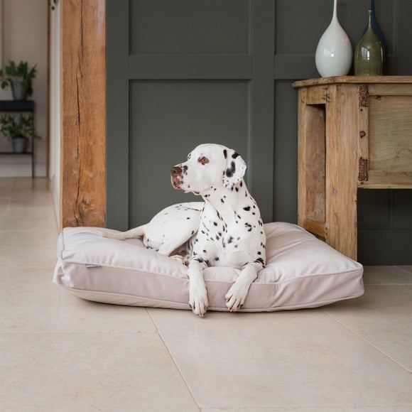 Lords and Labradors Velvet Dog Cushion, product image 83