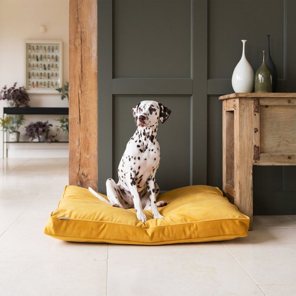 Lords and Labradors Velvet Dog Cushion, product image 18