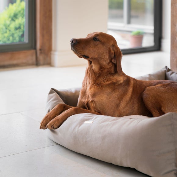Lords and Labradors Velvet Box Dog Bed, product image 29