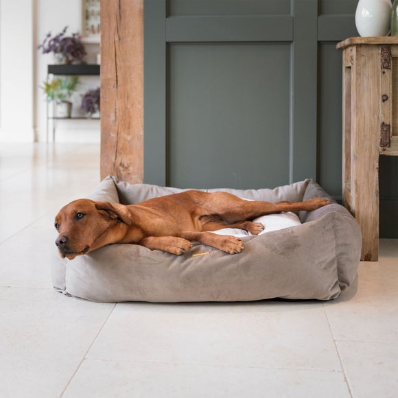 Lords and Labradors Velvet Box Dog Bed, product image 30