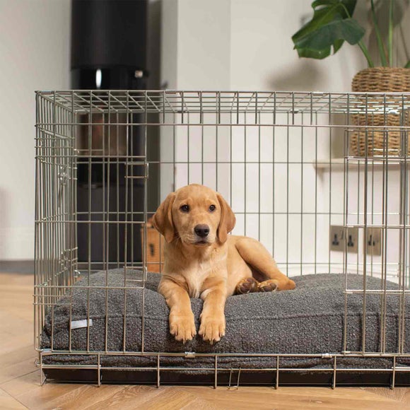Lords and Labradors Boucle Dog Cushion, product image 22