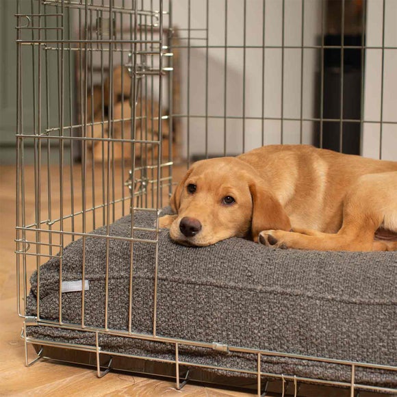 Lords and Labradors Boucle Dog Cushion, product image 23