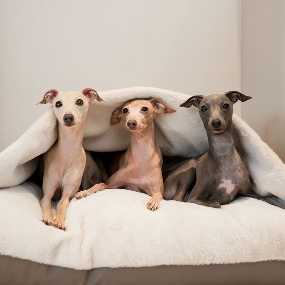 Lords and Labradors Rhino Leather Sleepy Burrow Dog Bed, product image 18
