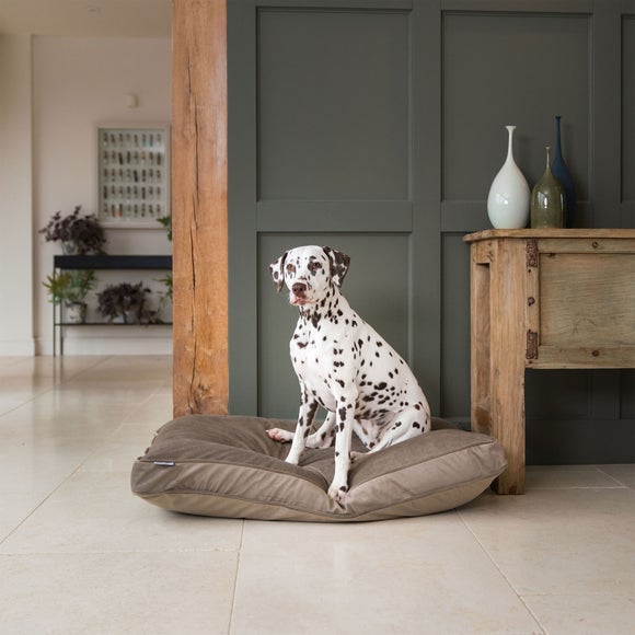 Lords and Labradors Velvet Dog Cushion, product image 22