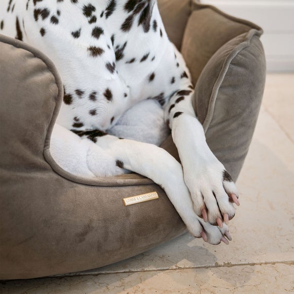 Lords and Labradors Velvet High Wall Dog Bed, product image 33