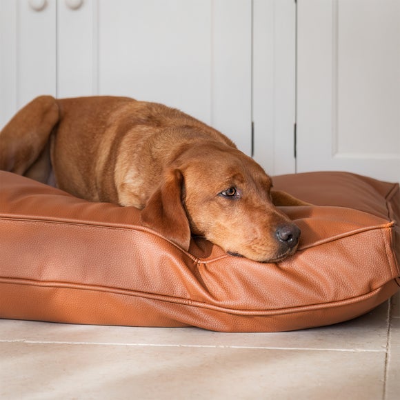 Lords and Labradors Rhino Leather Dog Cushion, product image 71