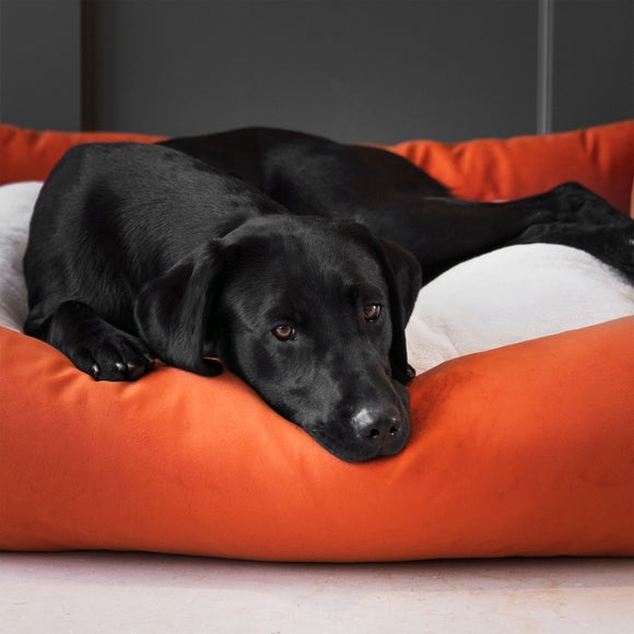 Lords and Labradors Velvet Box Dog Bed, product image 27