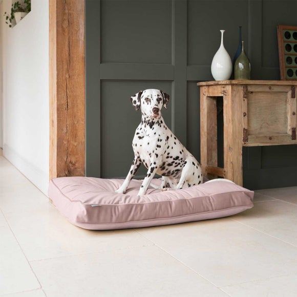 Lords and Labradors Velvet Dog Cushion, product image 1