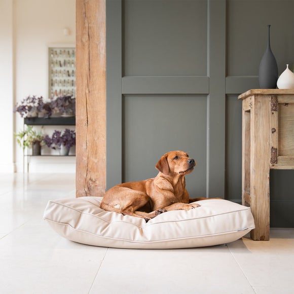 Lords and Labradors Rhino Leather Dog Cushion, product image 12