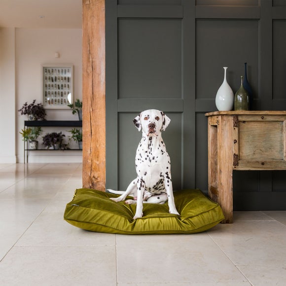 Lords and Labradors Velvet Dog Cushion, product image 33