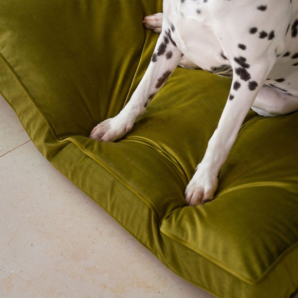 Lords and Labradors Velvet Dog Cushion, product image 34