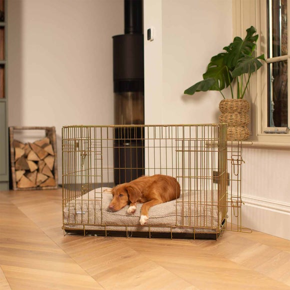 Lords and Labradors Boucle Dog Cushion, product image 1